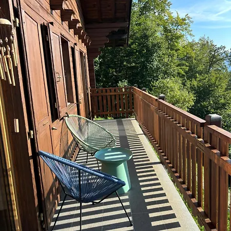 Swiss - Mountain And View Chalet Blonay