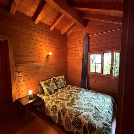 Chalet Swiss - Mountain And View Blonay