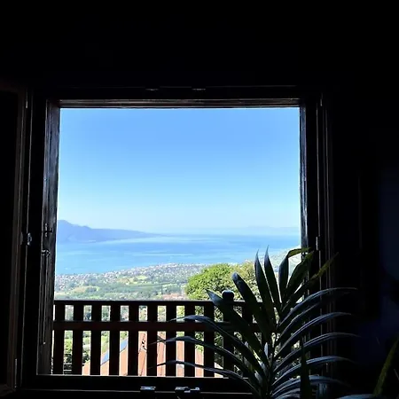 Swiss - Mountain And View Chalet Blonay