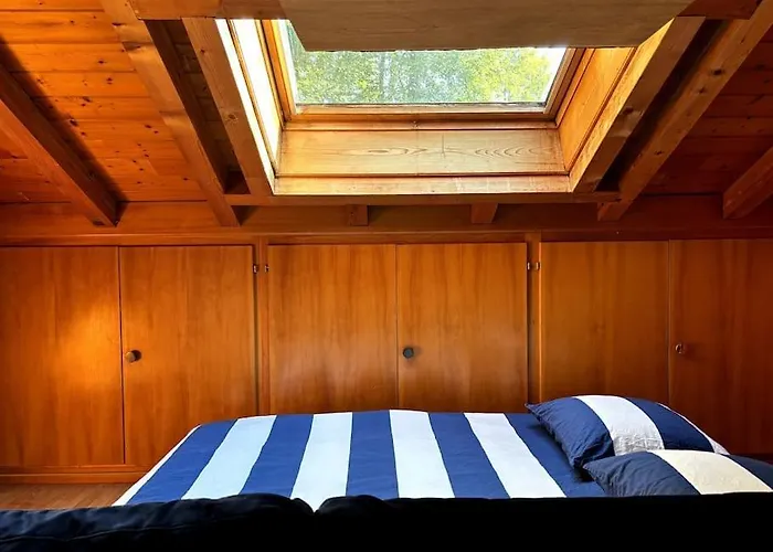 Swiss - Mountain And View Chalet Blonay