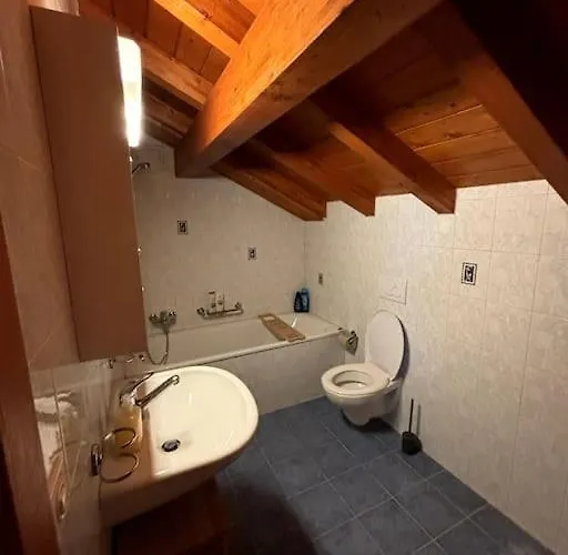 Swiss - Mountain And View * Blonay