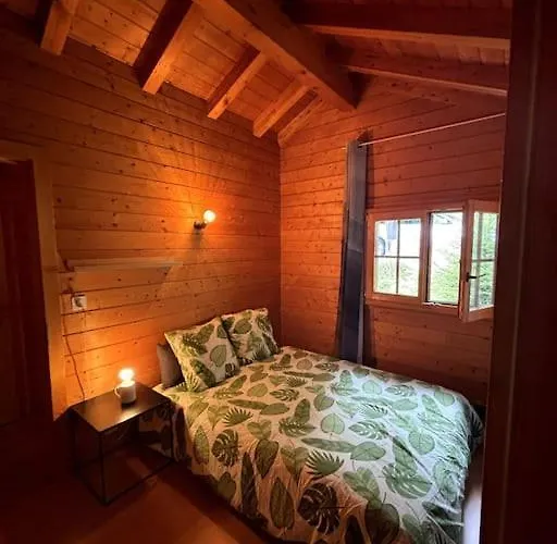 Chalet Swiss - Mountain And View Blonay