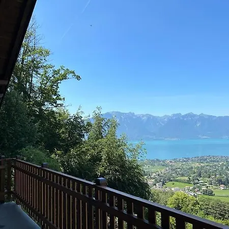 Swiss - Mountain And View * Blonay